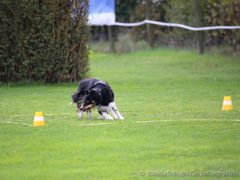 OBI-DM in Löchgau