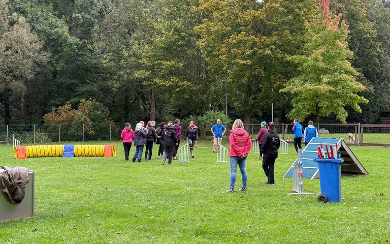 11_Agility-Staffellauf Run & Grill (11).JPG